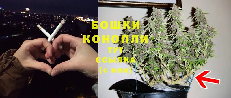 omg ССЫЛКА  Зубцов  Конопля Amnesia 